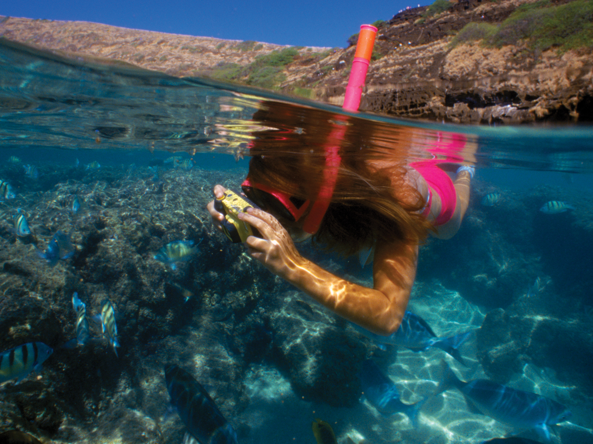 Girl snorkeling underwater capturing the underwater wildlife