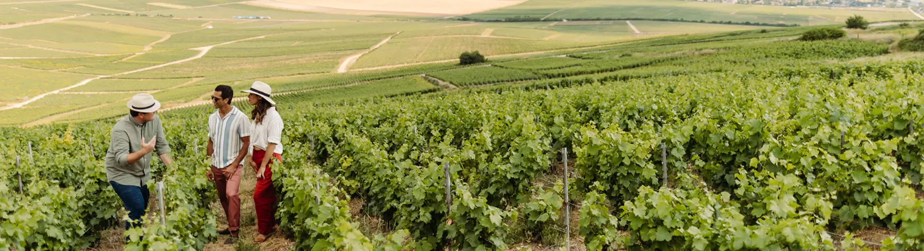 A guided tour of a vineyard with friends exploring the grapevines.